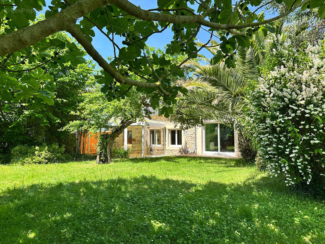 Maison familiale et son beau jardin arboré- langueux - photo 17