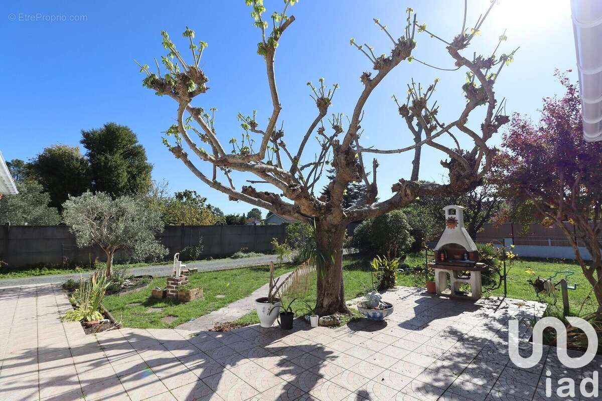 Photo 3 - Maison à BISCARROSSE