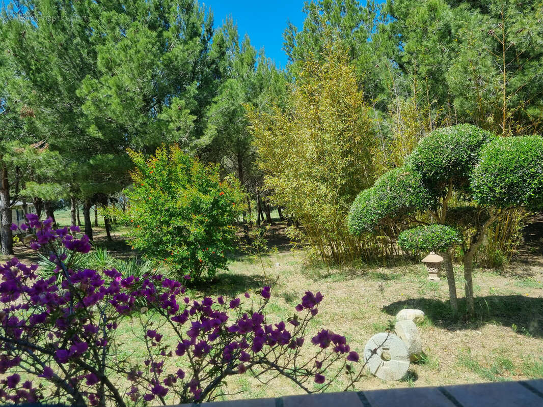 Le trésor caché: Belle propriété aux portes de Gruissan, un bien d'exception avec 24 690m2 de terrain! - photo 20