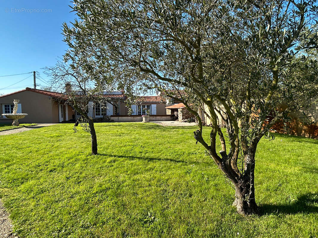 Maison à LE LOROUX-BOTTEREAU