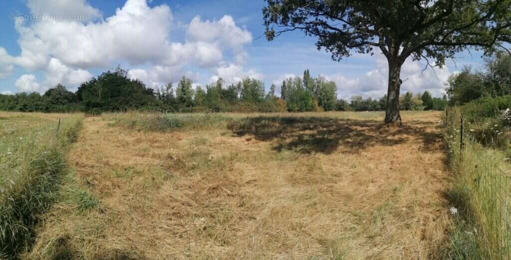 Terrain à SAINT-BENOIT-SUR-LOIRE