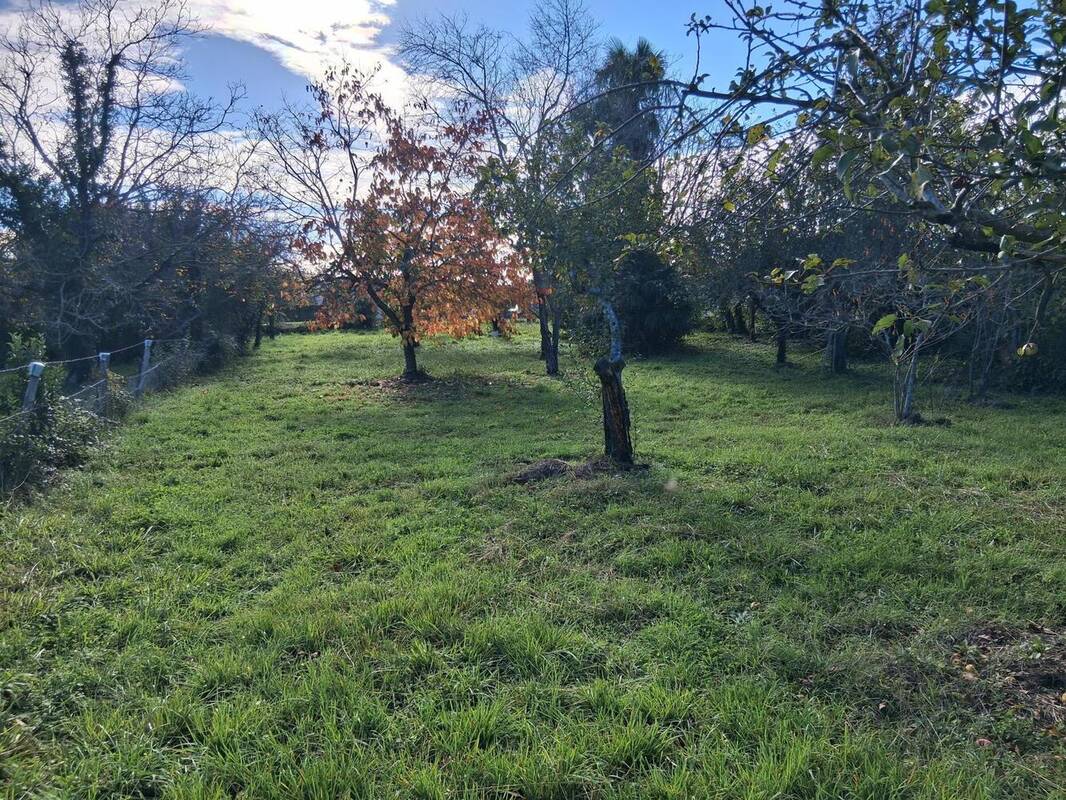 Photo 1 - Terrain à NOE