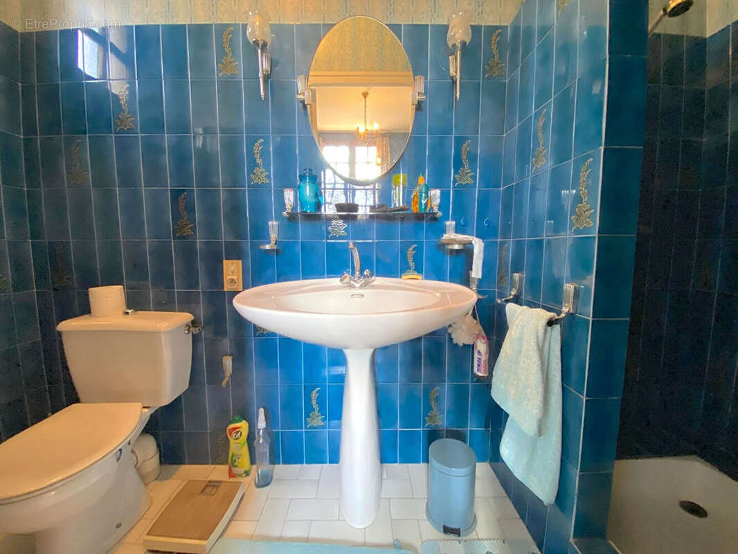 Maison avec garage et grand jardin à vendre à Gujan-Mestras - photo 12