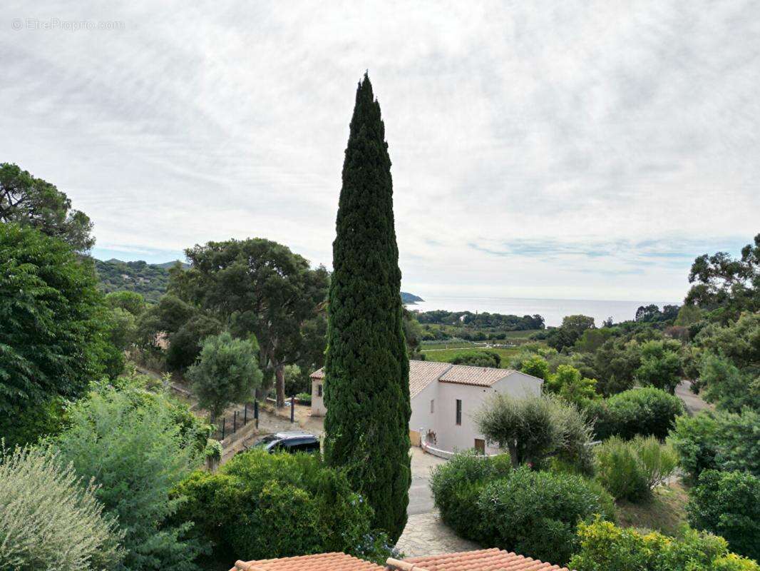 Maison à LA CROIX-VALMER