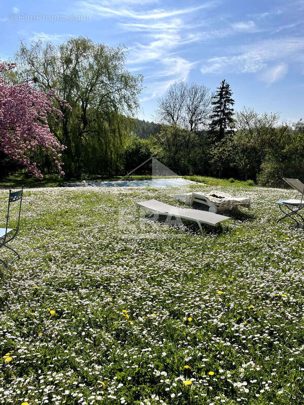 Maison 150m² à paley - photo 10
