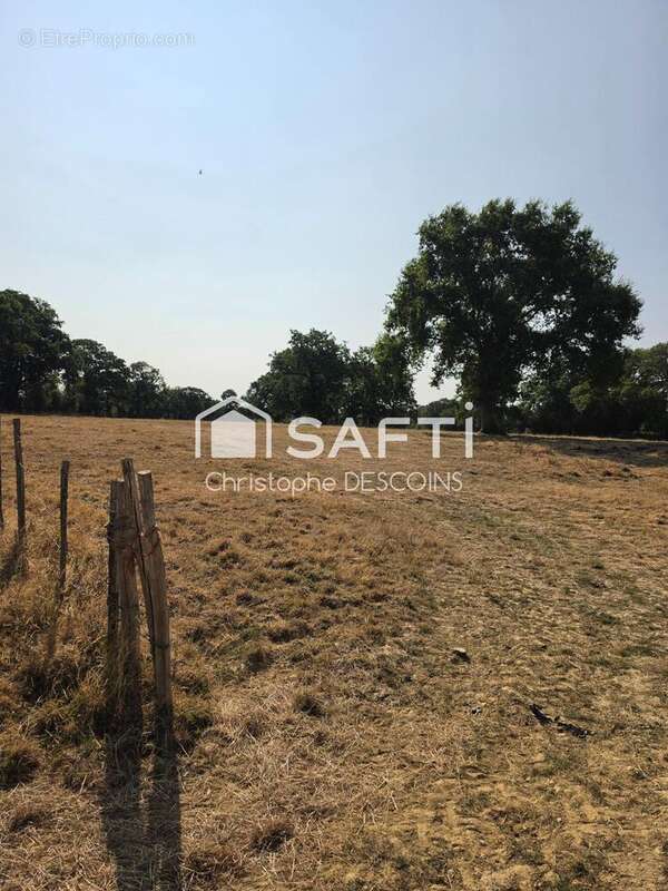 Terrain 96004 m² à Loiron  - photo 6
