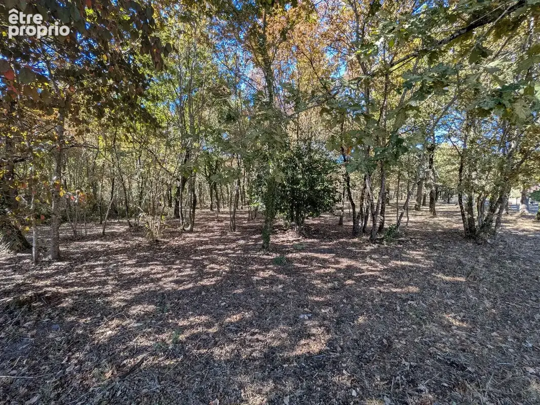 Photo Terrain à Biganos au prix de 19 000€