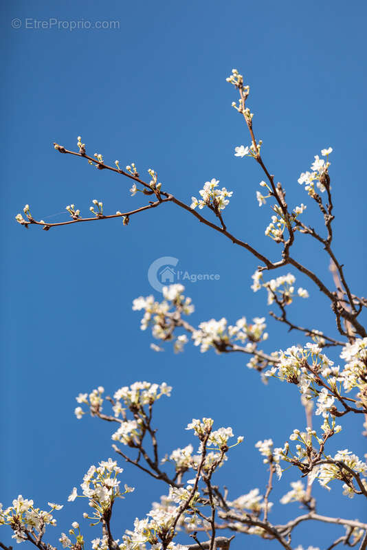 Maison à PEGOMAS
