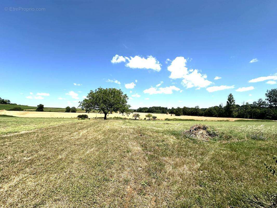 Maison en pierre 8 pièces 242 m2 avec grand terrain - photo 13