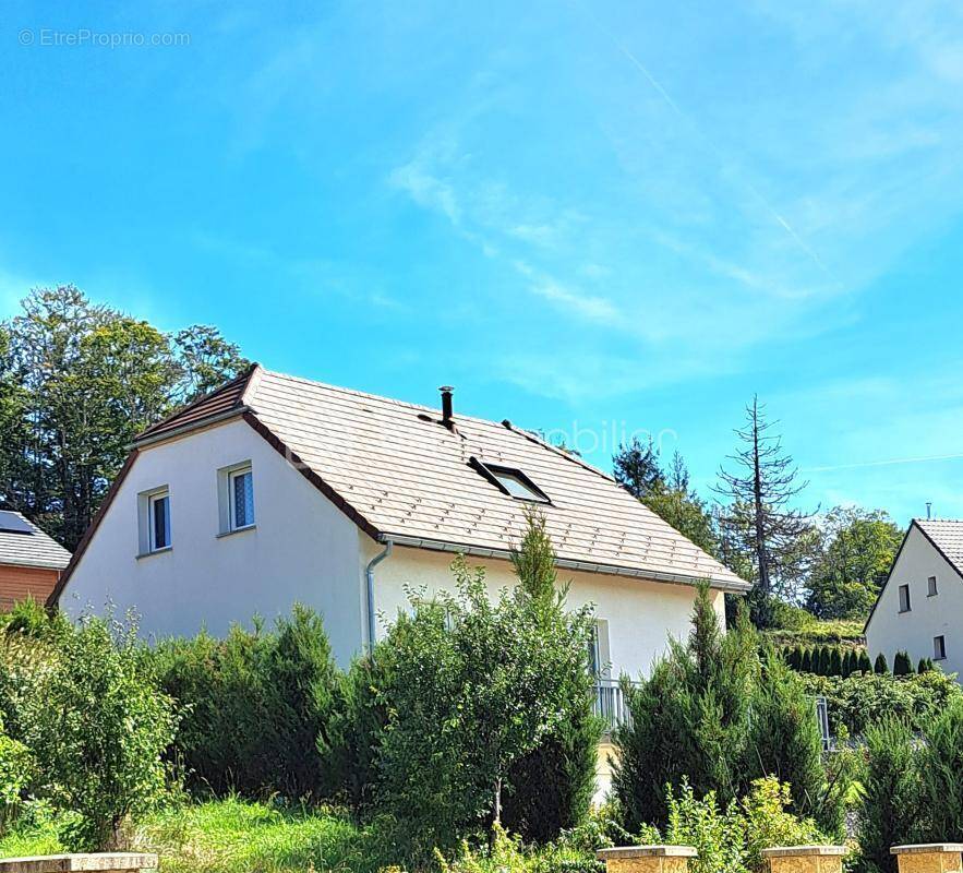 Maison à MORBIER