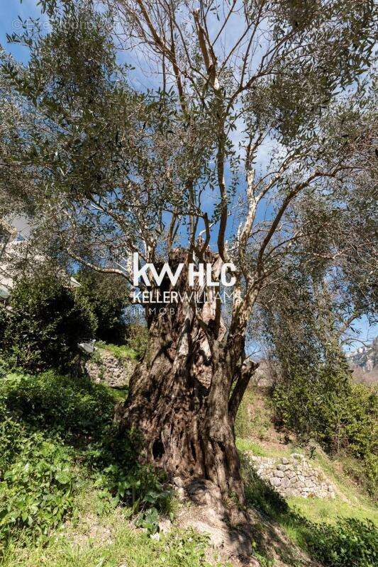 Maison à LE BAR-SUR-LOUP