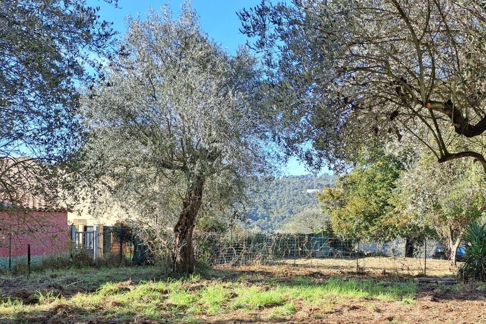 Terrain à LA TRINITE