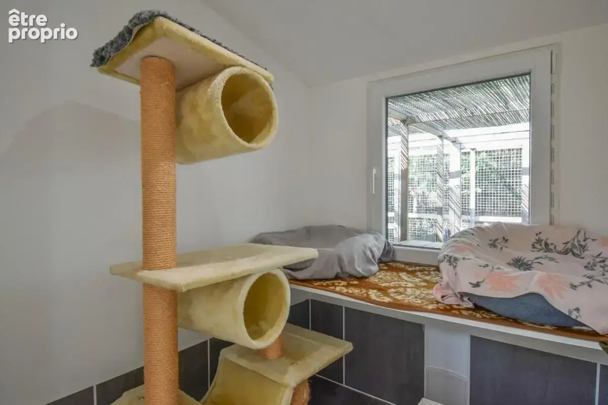 Maison rénovée de 4 chambres avec chatterie professionnelle - photo 28