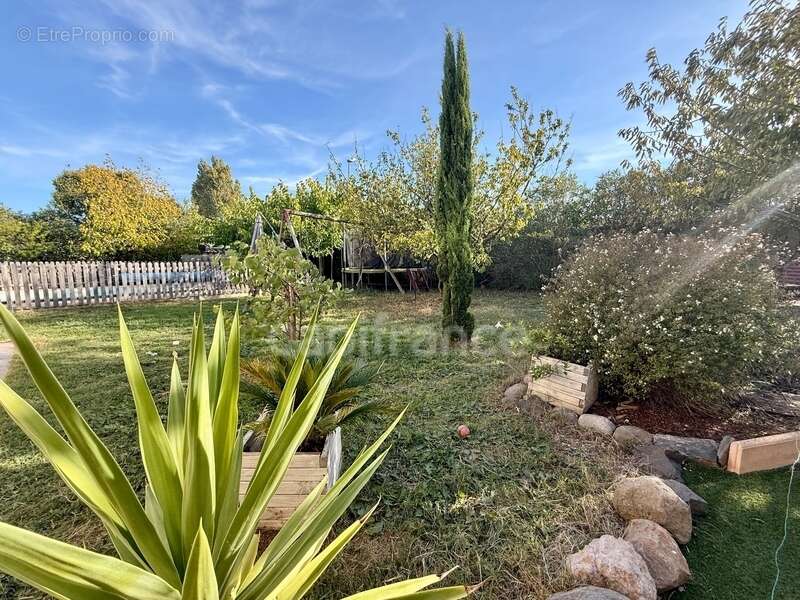 Maison à CARCASSONNE