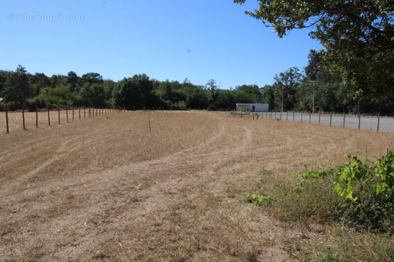 Terrain à CHATELLERAULT