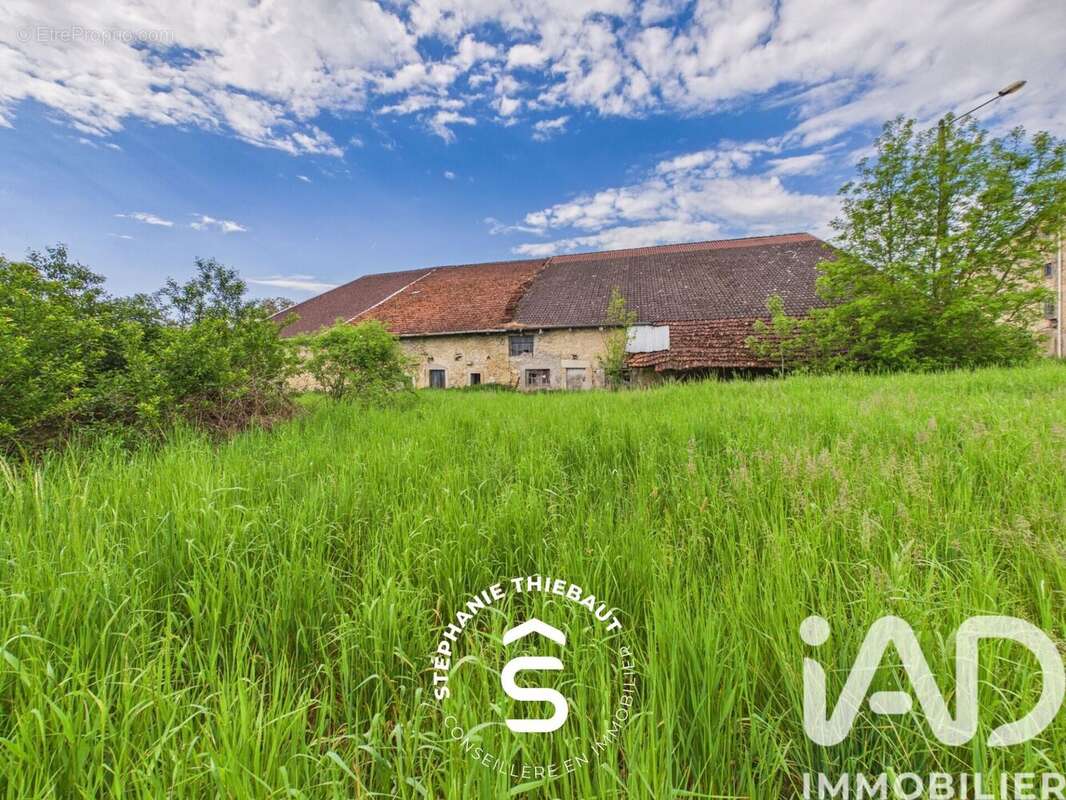Maison 360 m² à Gorhey  - photo 4