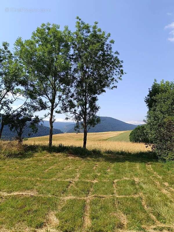 Terrain à VILLARD-DE-LANS