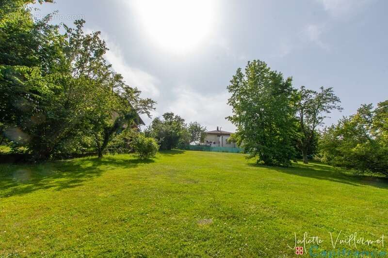 LA MOTTE SERVOLEX (73290) : Terrain de 1180 m², non viabilisé - photo 5