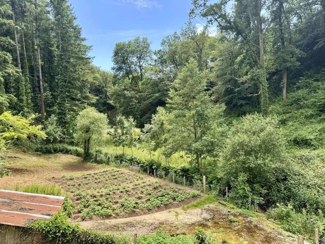 Maison à RIEUPEYROUX