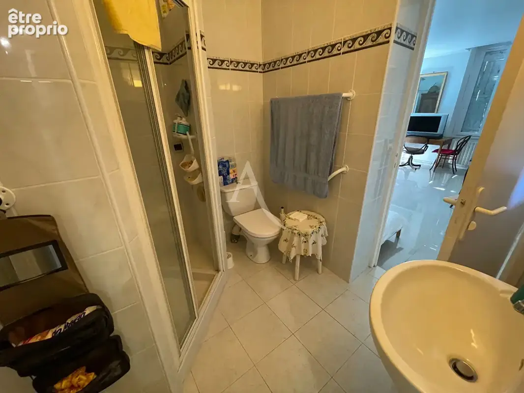 Maison  de Maître et appartement luxueux 12 pièce(s) 402.22 m2 - photo 17