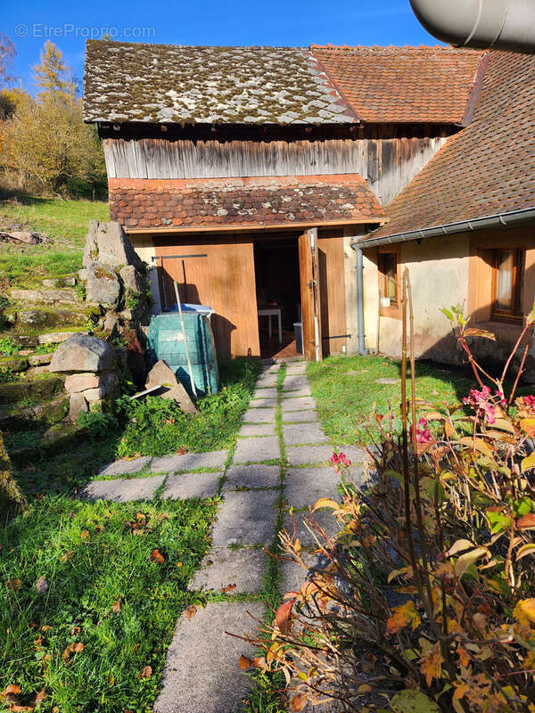 Maison à WANGENBOURG-ENGENTHAL