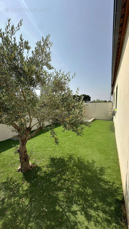 Maison à SAINT-NAZAIRE-D'AUDE