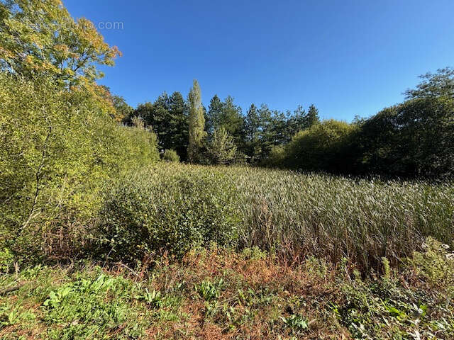 Terrain à TALMONT-SAINT-HILAIRE