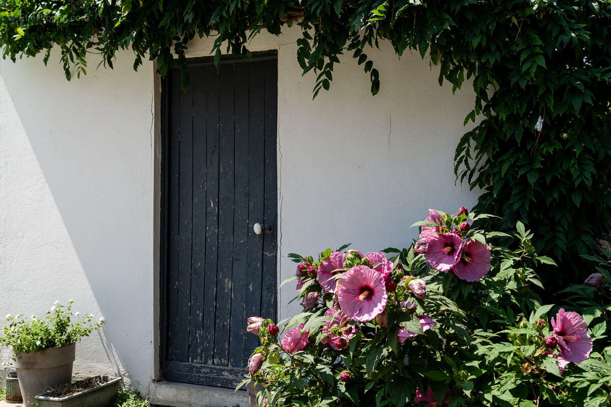 Maison t6 haut guilhemery / soupetard - photo 11