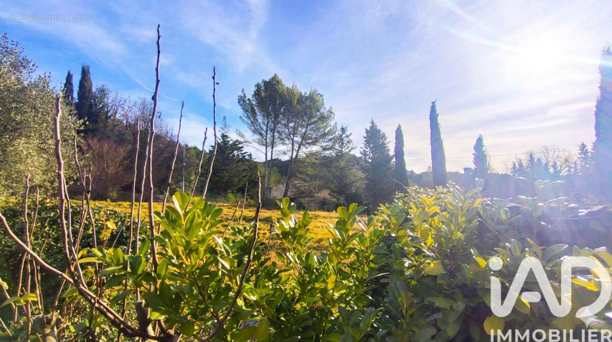 Photo 5 - Terrain à BUIS-LES-BARONNIES