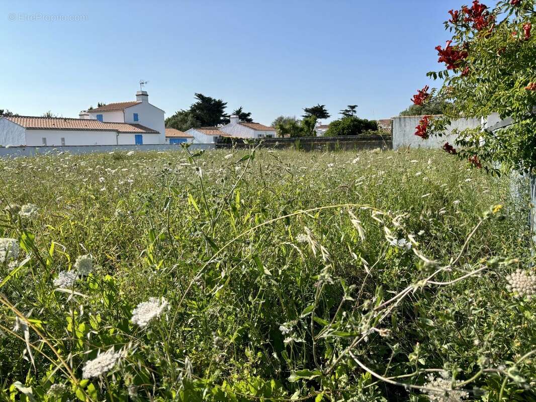 Terrain à NOIRMOUTIER-EN-L'ILE