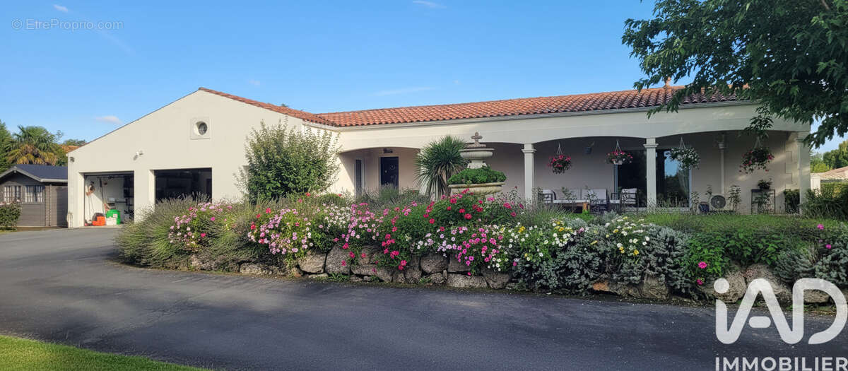 Photo 2 - Maison à SAINT-JEAN-D'ANGELY