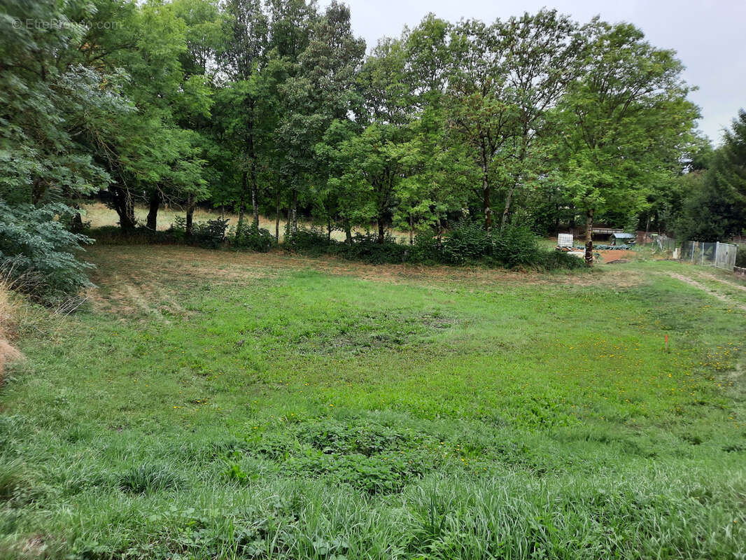 Terrain à VIALA-DU-PAS-DE-JAUX