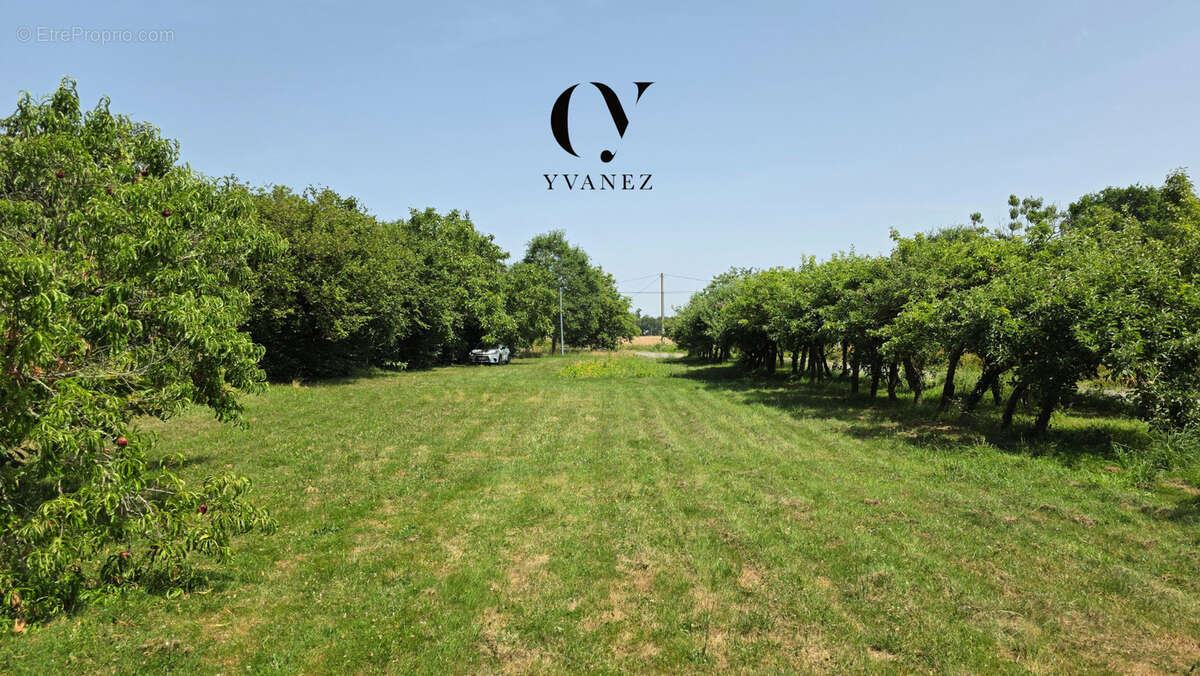 Maison de campagne de 87 m2 avec 3 chambres sur 2 300 m2 de terrain arboré - photo 18