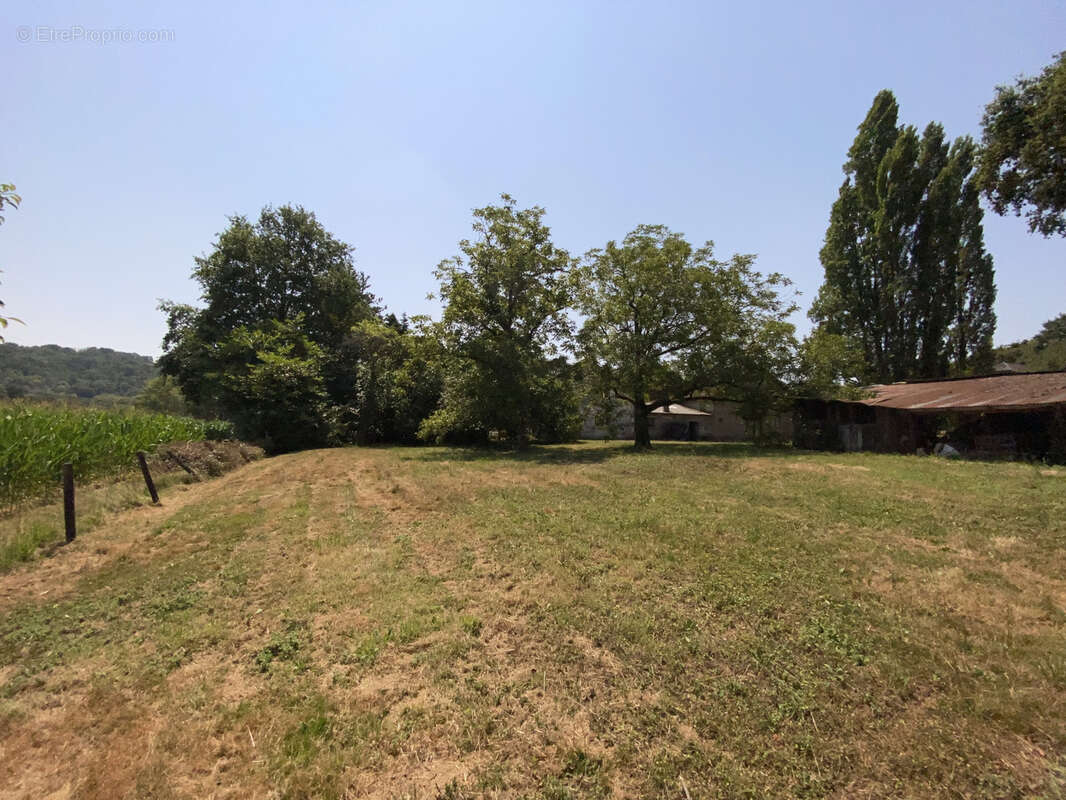 Ferme 10 hectares Monein - photo 27