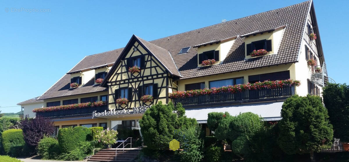 Commerce à MARLENHEIM