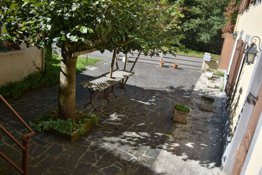 Photo 4