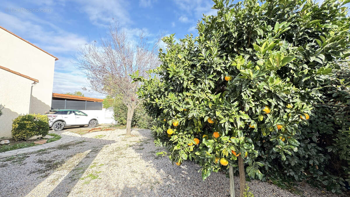 Maison à SAINT-HIPPOLYTE