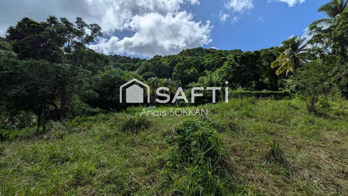 Photo 2 - Terrain à RIVIERE-PILOTE