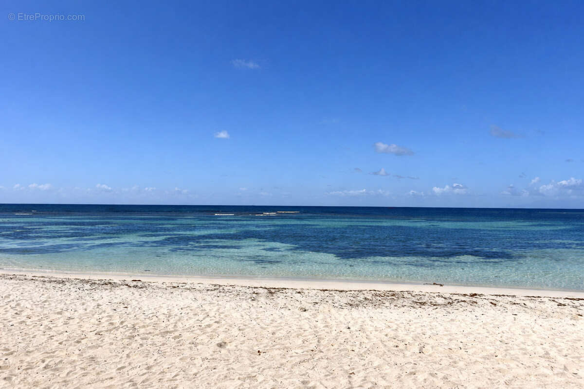 Appartement à SAINT-FRANCOIS