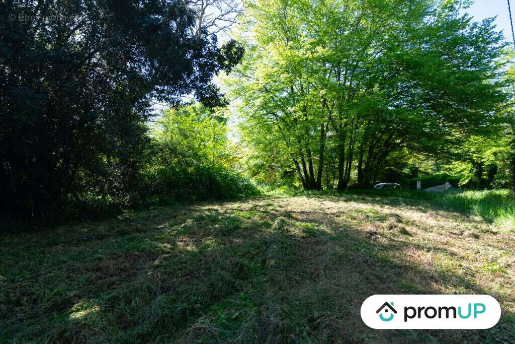 Terrain à REANS