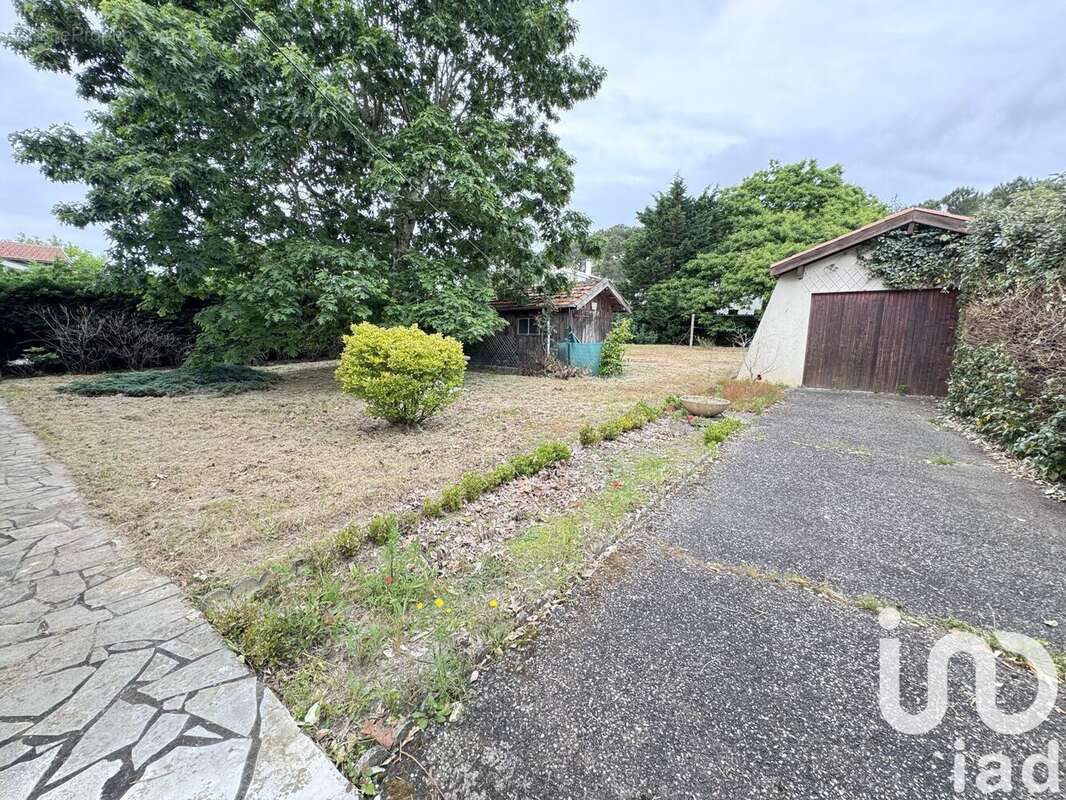 Photo 7 - Maison à LA TESTE-DE-BUCH