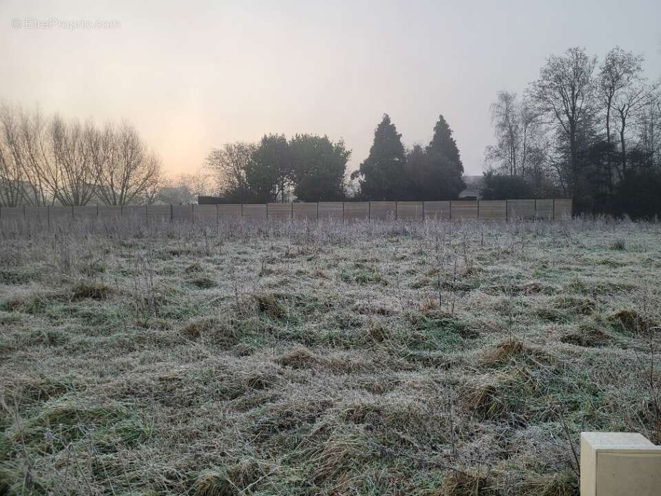 Terrain 465 m² à Wallon-Cappel  - photo 2