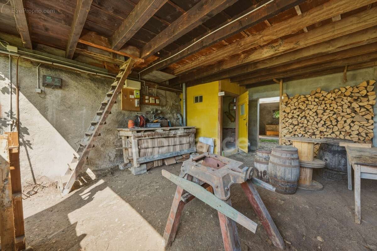 Maison à vendre 5 pièces PERON (01) - photo 41