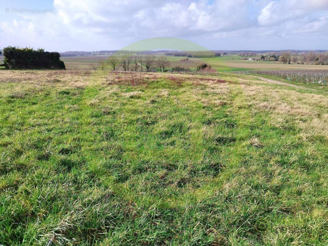 Terrain à SAINT-MAIGRIN