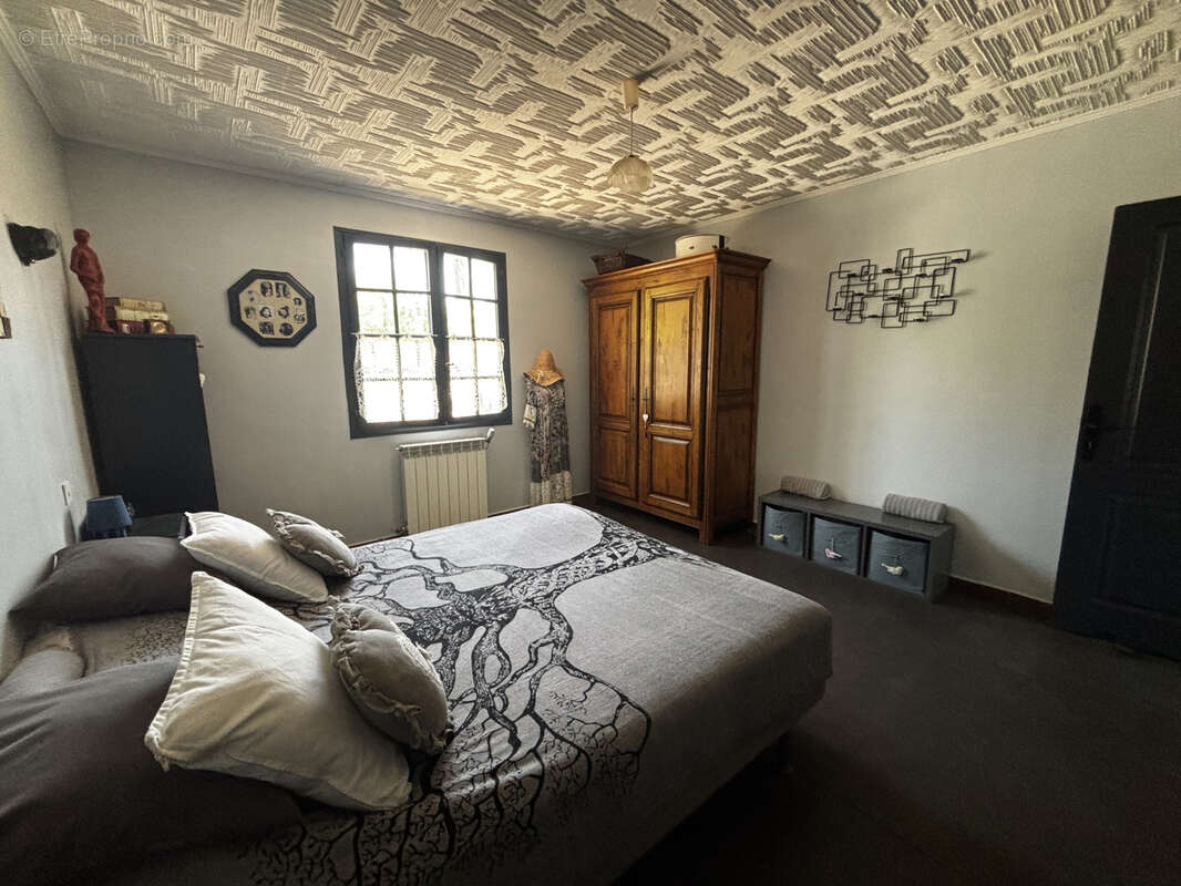Proche pezenas -  maison independante de plain pied 3 chambres terrain 1345m2 grand terrain clos - photo 14