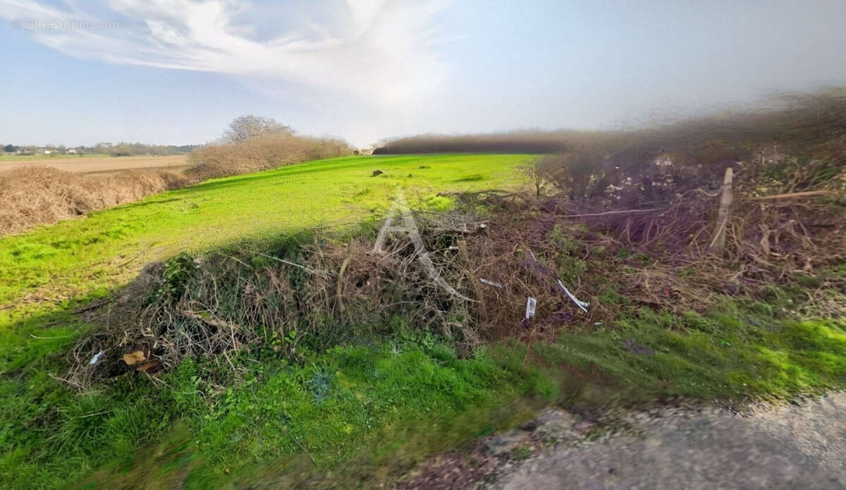 Terrain à ROZAY-EN-BRIE