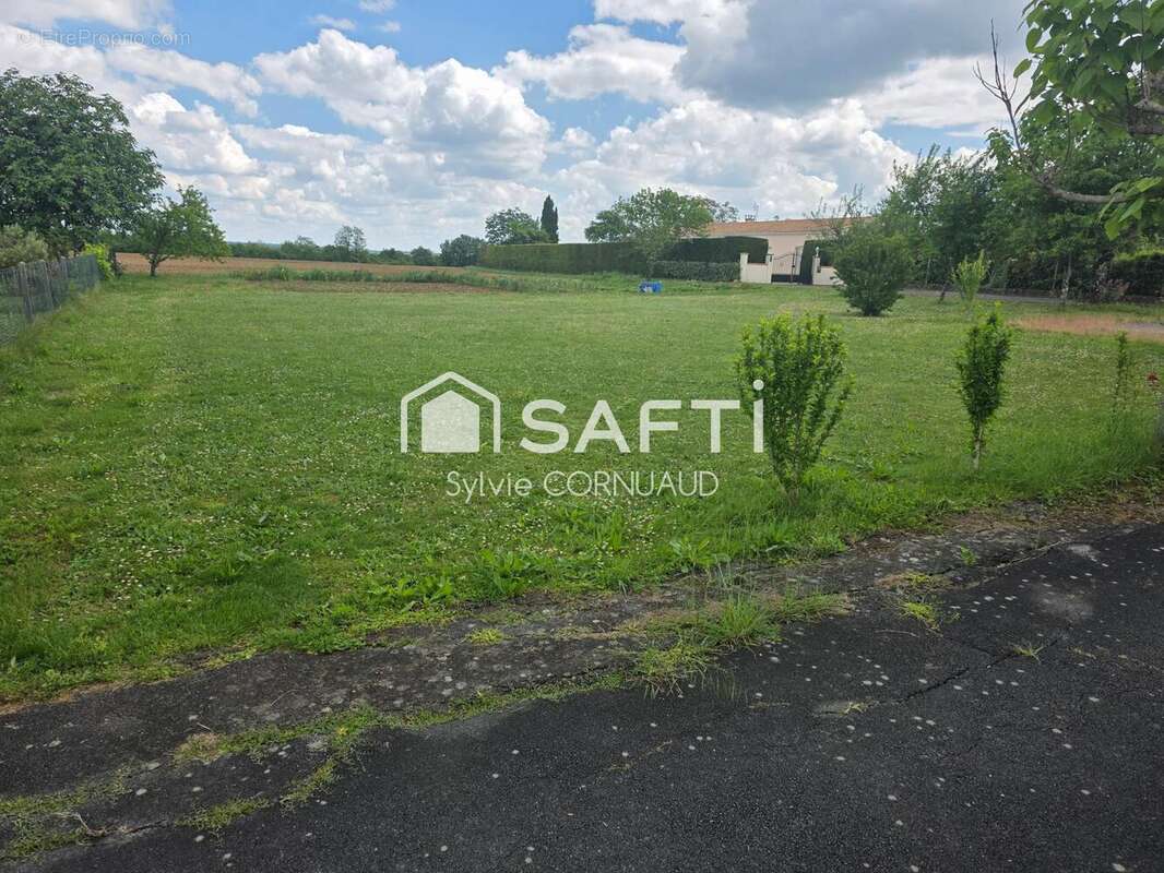 Photo 3 - Terrain à SAINT-GEORGES-DES-COTEAUX