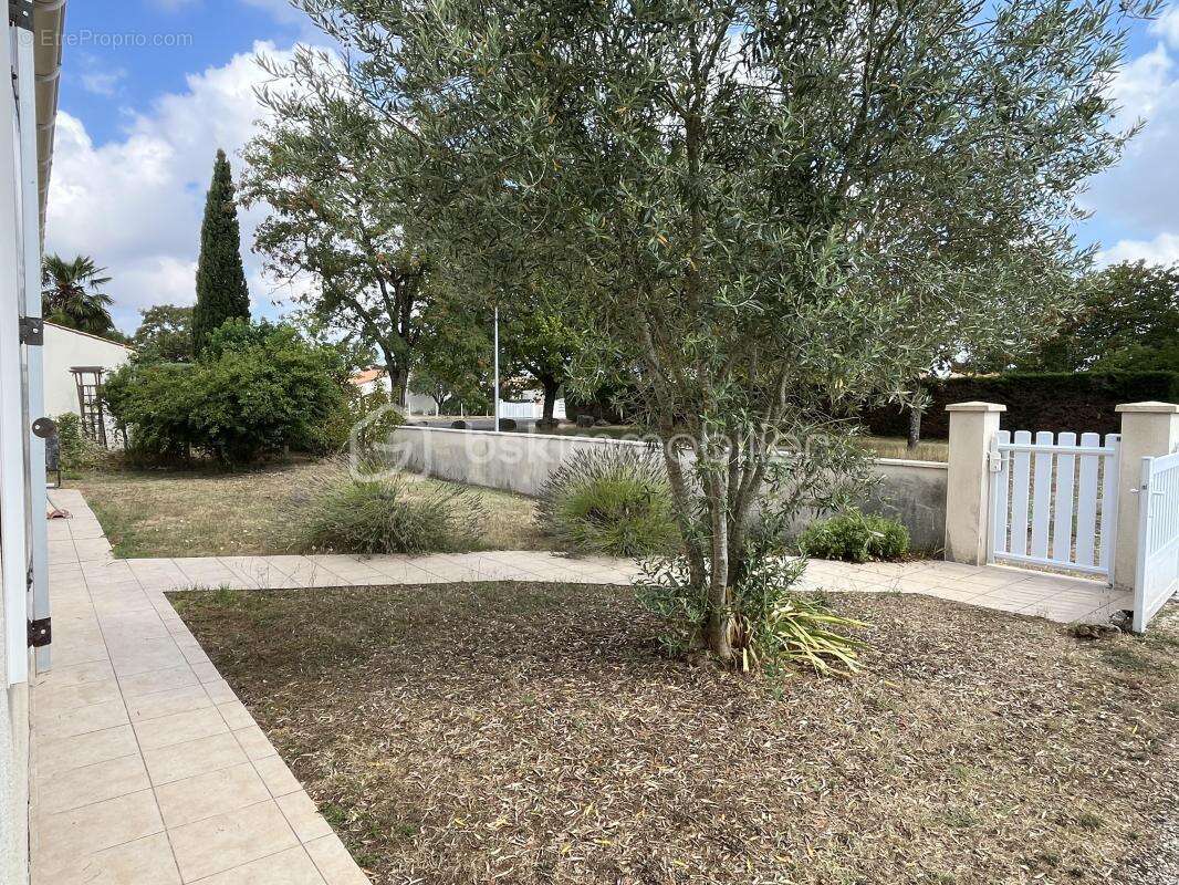 SAUJON  -  maison plain-pied 91 m2 sur terrain clos 560 m2 - photo 17