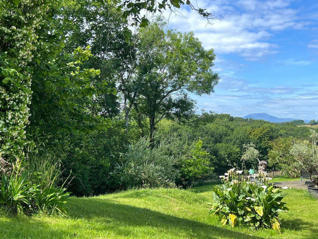 Maison à VILLEFRANQUE
