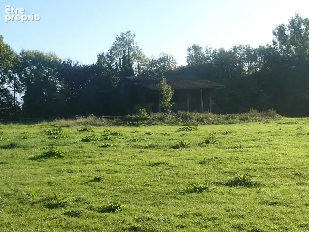 Maison Beuzeville, 3 ch, terrain 29 434 m² et 3 dépendances dont 1 hangar agricole - photo 3